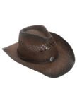 8923224572072-brown