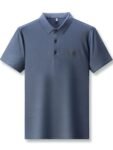 Men’s Plus Size Diamond Pattern Short Sleeve Polo Shirt缩略图 9d19c5f445a14165a34f3bf6baa010f3-Max-Origin