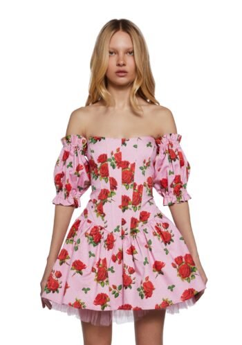 Holding Court Corset Dress - Pink (Fairfax)