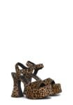 s1900635_f_r_current_mood_leopard_296507_0109_25_04_28