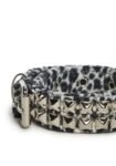 s1905583_f_r_funk_plus_leopard_297500_0178_25_05_05