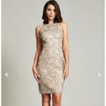 TADASHI SHOJI EMI SEQUIN EMBROIDERED Tan DRESS size 4