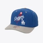 mens-royal-los-angeles-dodgers-all-in-20-pro-crown-snapback-hat_ss5_p-202117190_pv-1_u-1vbtjehmjh62s692dawt_v-zdrjeou6xeecoiyvtxpw